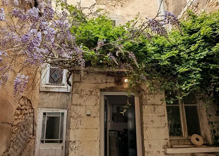 Villa Le St-hilaire, House In The Center With Patio With Parking Poitiers